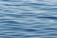 Rippling water