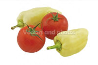 Bell peppers and tomatoes