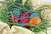 Easter eggs in a nest