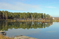 Lake near the forest