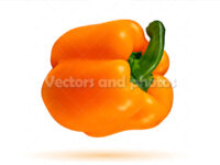 Orange bell pepper