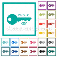 Public key flat color icons with quadrant frames