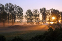 Sunrise on the meadow