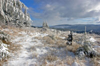 Winter landscape