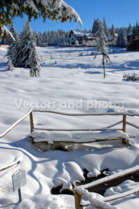 Winter landscape with snow